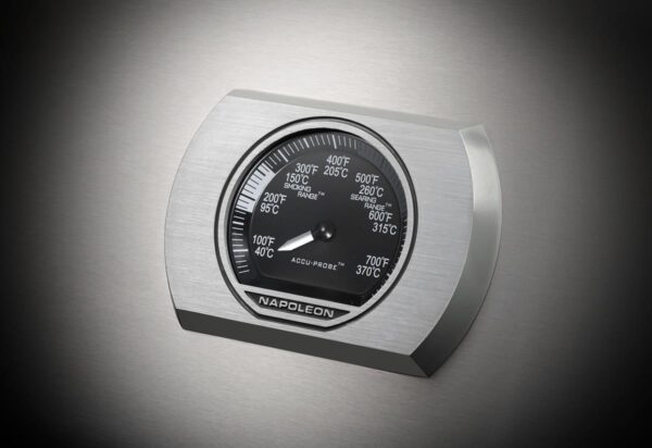 Original JPG-Rogue-1-Details-Thermostat-SS