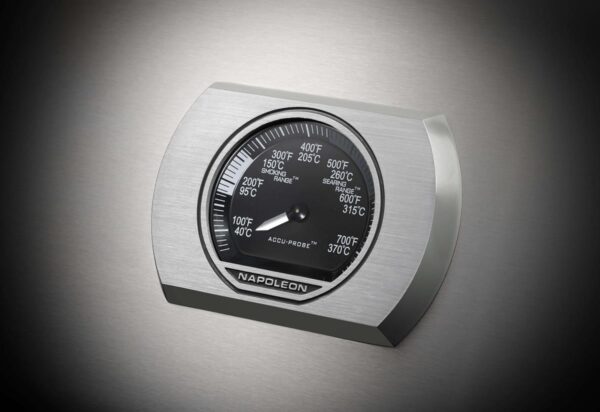 RSE_Thermostat_Stainless