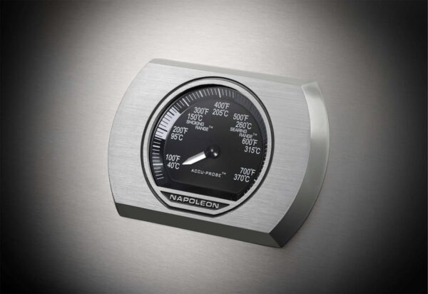 Rogue_Thermostat_Stainless